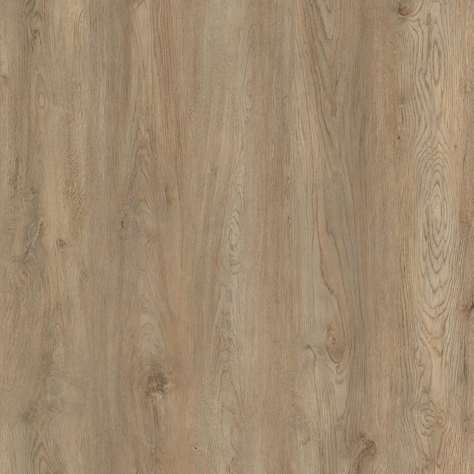 Hard Maple · verified-product · 605-1141